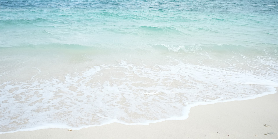 セレモニーハート西大島ホールが江東区で海洋散骨の説明を行う穏やかな砂浜の波辺